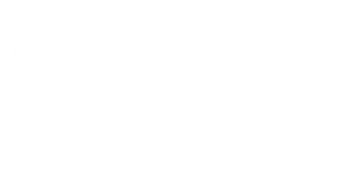 2010
