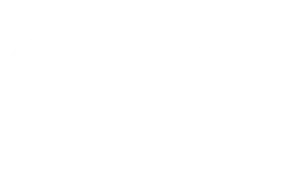 2011